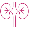 Nephrology icon
