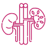 Continuous Renal Replacement Therapy CRRT icon