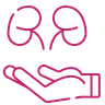 Kidney transplant icon