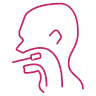 Nasopharyngoscopy icon