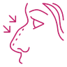 Rhinoplasty icon