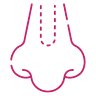 Septoplasty icon