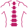 Spine Decompression and Fusion icon