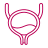 Diagnostic Cystoscopy icon