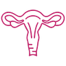 Uterine Artery Embolization icon