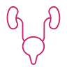 Laser OIU icon