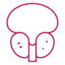 Bipolar TURP icon