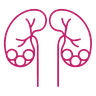 Cystolithotomy icon