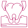 RCT icon