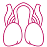 TURP icon