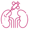 Kidney Biopsy icon