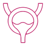 BNI - Bladder Neck Incision icon