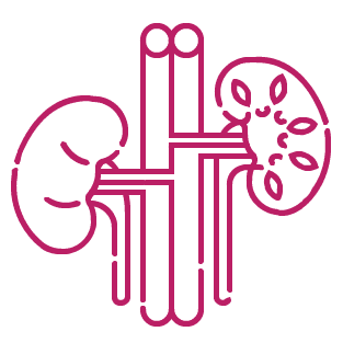 procedure image