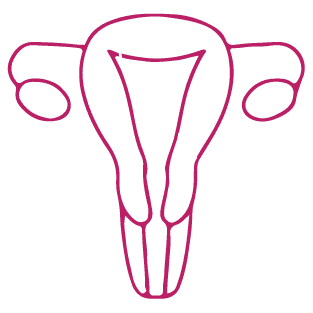 procedure image