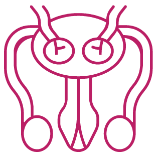 procedure image
