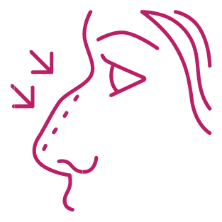 procedure image