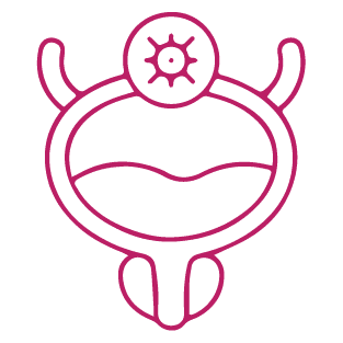 procedure image