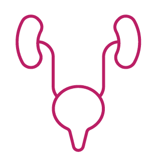procedure image