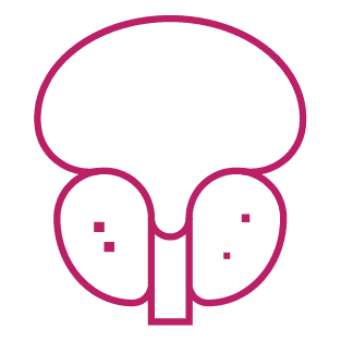 procedure image