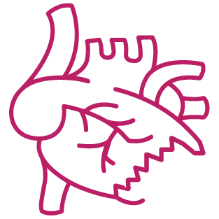 procedure image