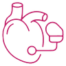 Implantation of Pacemakers and Defibrillators icon