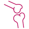 Osteotomy icon