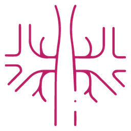 AV Fistula Closure