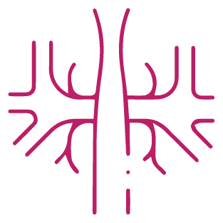 procedure image