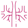 AV Fistula Closure icon