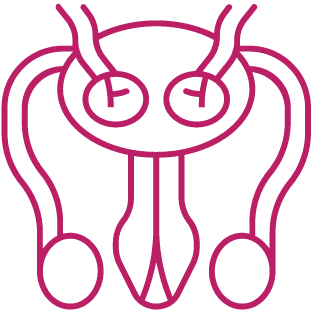 procedure image