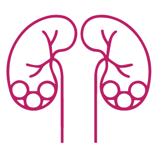 procedure image