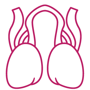 procedure image