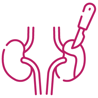 procedure image