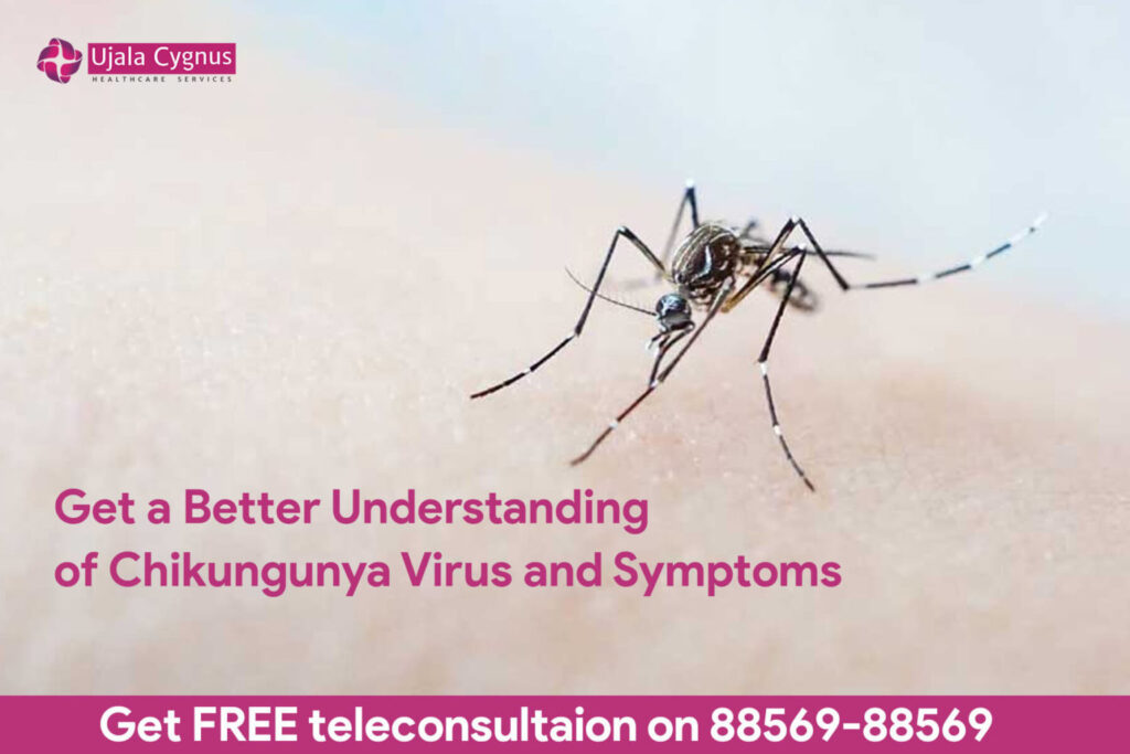 Get a Better Understanding of Chikungunya Virus and Symptoms