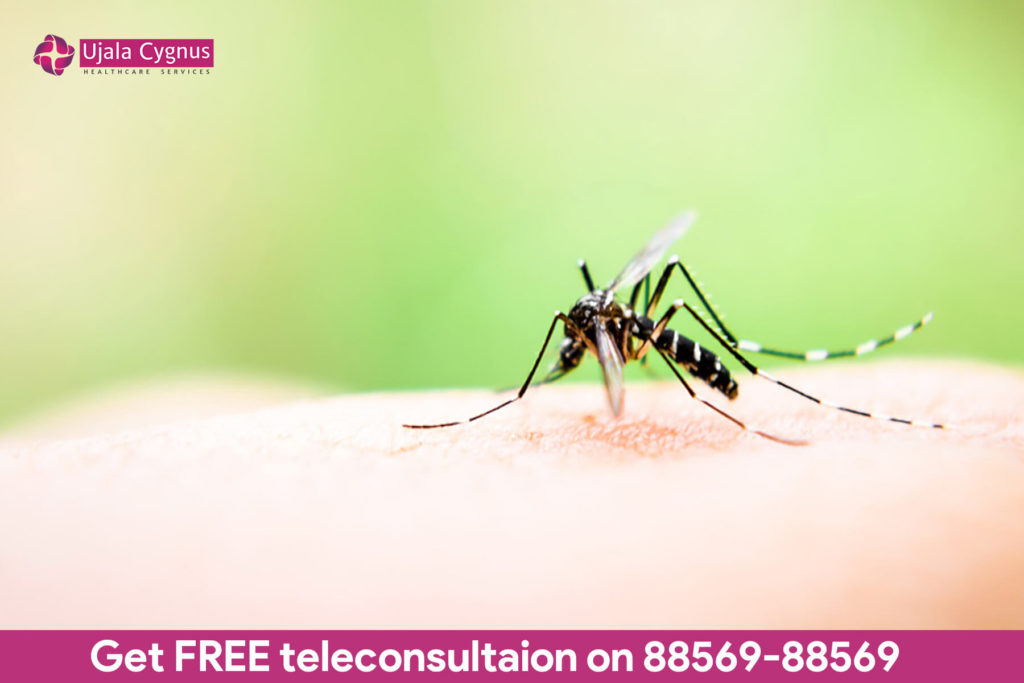 How to prevent symptoms of Dengue?