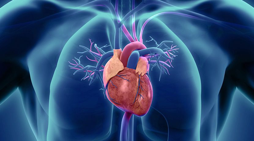 Know more about Heart disease reversal