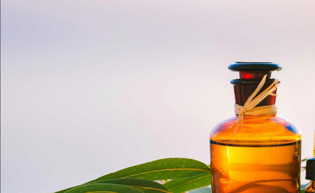 Eucalyptus Oil In Hindi: नीलगिरी तेल के फायदे