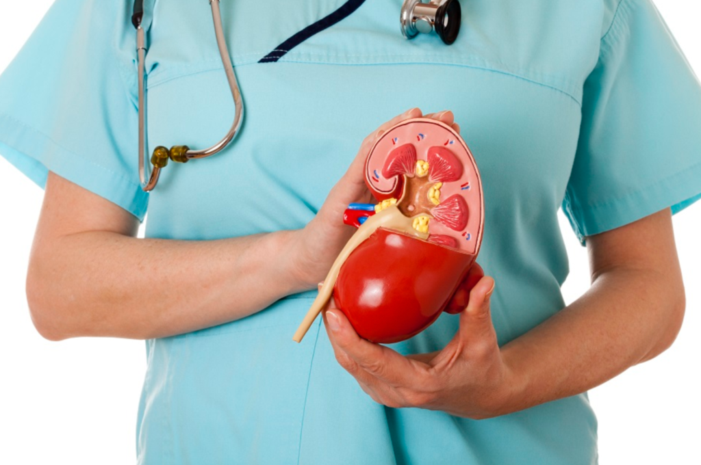 How to Check Kidney Function at Home: A Comprehensive Guide