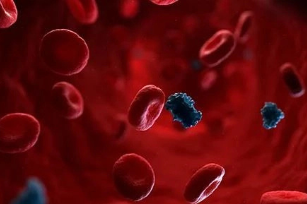 All you need to know about Metabolic Diseases