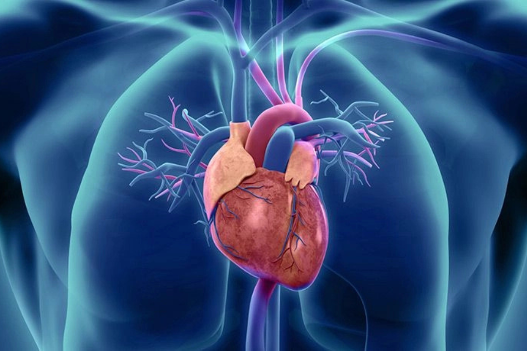 Know-more-Heart-failure