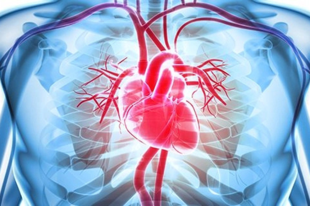 Know more about Rheumatic Heart disease