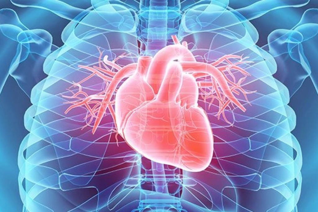 What is Valvular heart disease