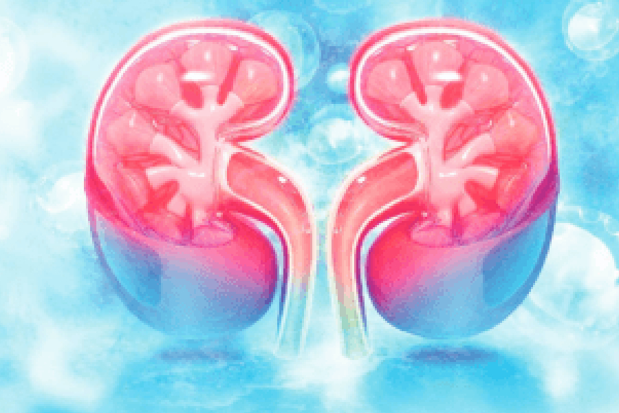 HEALTH :Beware! Ignoring heat strokes could result in chronic kidney disease