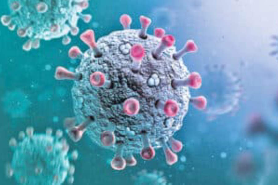 HEALTH:BLASTED NEW VIRUS: H3N2 NOW
