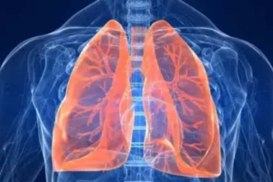 Tips to organically cure lung illness due to air pollution
