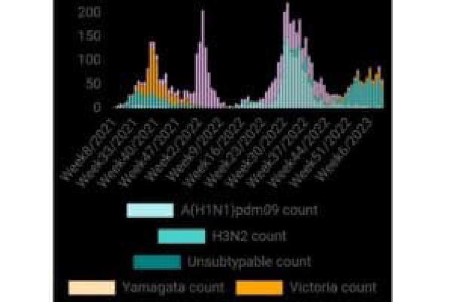 With H3N2 as predominant sub-type, combination of viruses causing infections