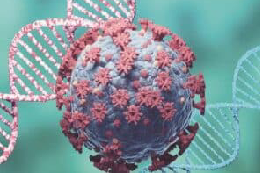 With H3N2 as predominant subtype, combination of viruses causing infections